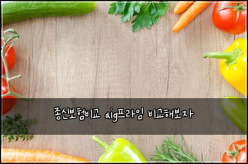 종신보험비교 aig프라임 비교해보자