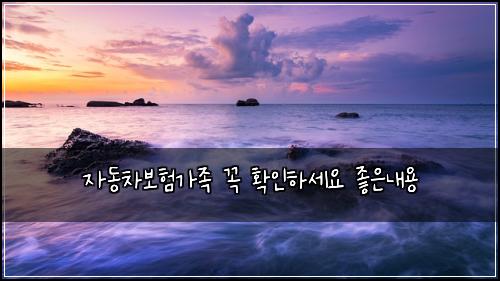 자동차보험가족 꼭 확인하세요 좋은내용