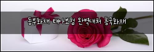 ๋๋ถํ์ฌ ํ์๋ณดํ ์๋ฒฝ๋์ฒ ํฅ๊ตญํ์ฌ