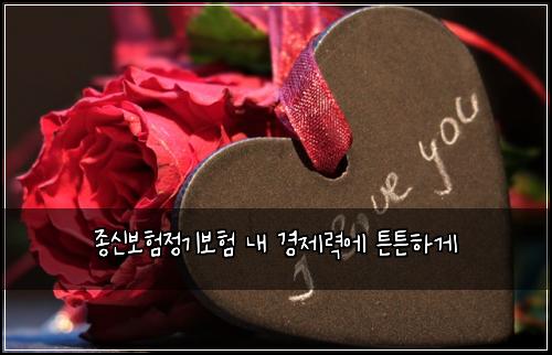 ์ข
์ ๋ณดํ์ ๊ธฐ๋ณดํ ๋ด ๊ฒฝ์ ๋ ฅ์ ํผํผํ๊ฒ