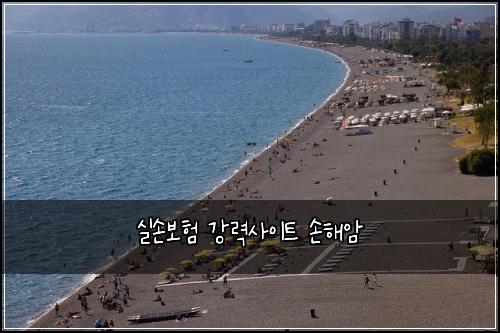 실손보험 강력사이트  손해암