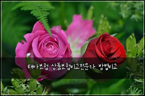 태아보험 상품보험비교전문가 방법비교