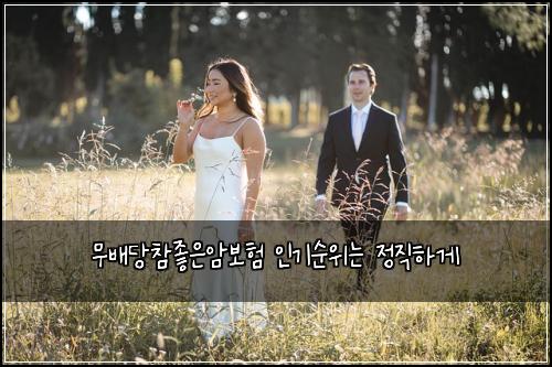 무배당참좋은암보험 인기순위는  정직하게