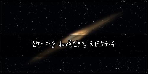 신한 더블 dam종신보험 체크노하우 