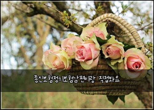 ์ข
์ ๋ณดํ์ ๊ธฐ๋ณดํ๋จํธ์ด๋ ์ง์ ๋ด์
