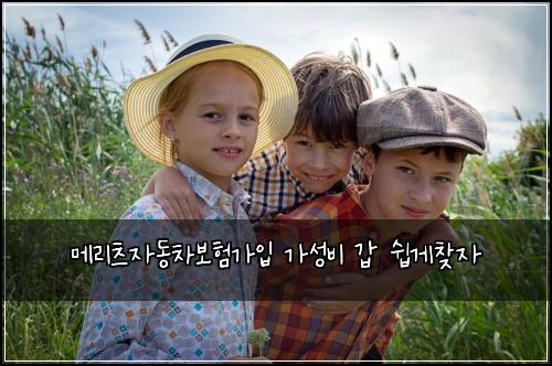 메리츠자동차보험가입 가성비 갑 쉽게찾자