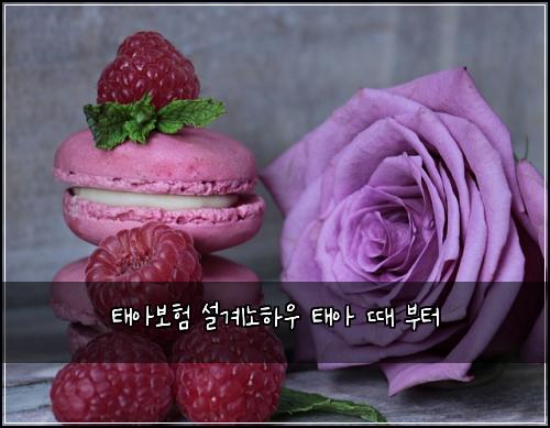 태아보험 설계노하우  태아 때 부터