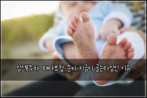 임신8주차 태아보험 준비 지금이 골든타임인 이유