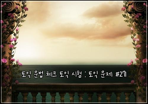 토익 문법 체크 토익 시험 : 토익 문제 #271