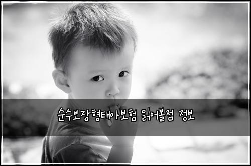 ์์๋ณด์ฅํํ์๋ณดํ ์ฝ์ด๋ณผ์ ์ ๋ณด