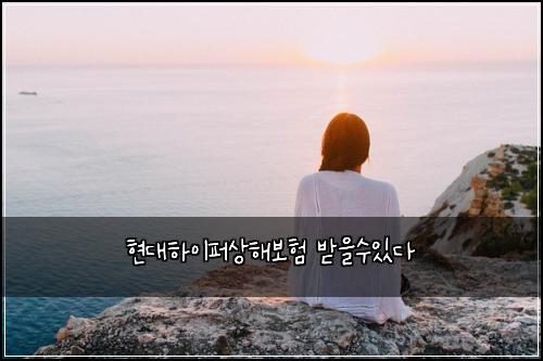 ํ๋ํ์ดํผ์ํด๋ณดํ ๋ฐ์์์๋ค