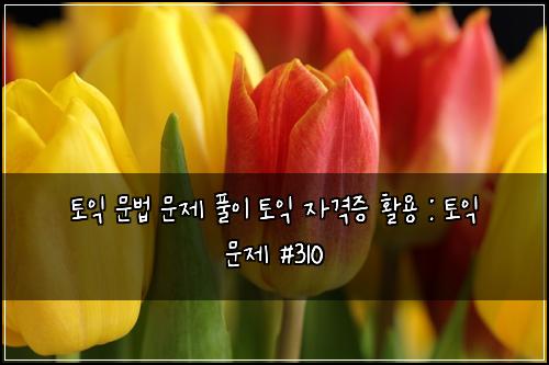 ํ ์ต ๋ฌธ๋ฒ ๋ฌธ์ ํ์ด ํ ์ต ์๊ฒฉ์ฆ ํ์ฉ : ํ ์ต ๋ฌธ์ #310