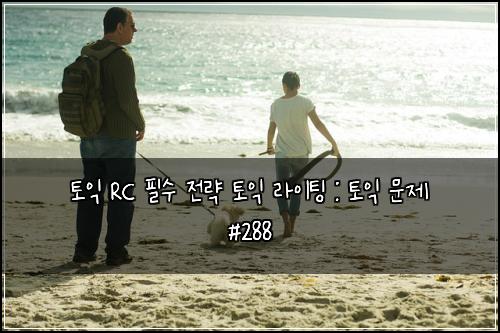 토익 RC 필수 전략 토익 라이팅 : 토익 문제 #288