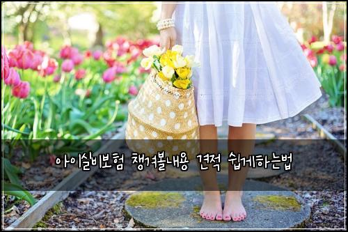 ์์ด์ค๋น๋ณดํ ์ฑ๊ฒจ๋ณผ๋ด์ฉ ๊ฒฌ์ ์ฝ๊ฒํ๋๋ฒ