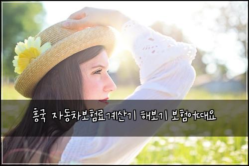 흥국 자동차보험료계산기 해보기 보험어때요