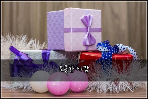 조용한 바람