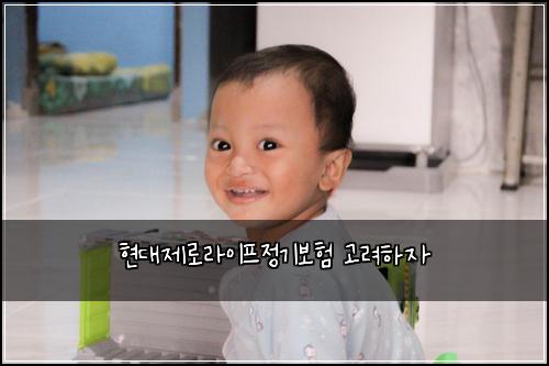 현대제로라이프정기보험 고려하자 