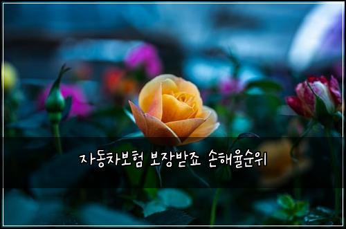 ์๋์ฐจ๋ณดํ ๋ณด์ฅ๋ฐ์ฃ ์ํด์จ์์