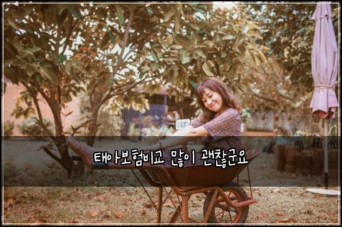 ํ์๋ณดํ๋น๊ต ๋ง์ด ๊ด์ฐฎ๊ตฐ์