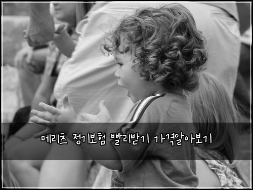 메리츠 정기보험 빨리받기  가격알아보기