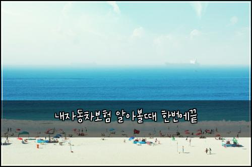 λ΄μλ차보ν μμλ³Όλ νλ²μλ