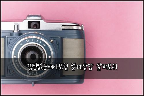 갱신없는태아보험 설계상담  살펴보귀