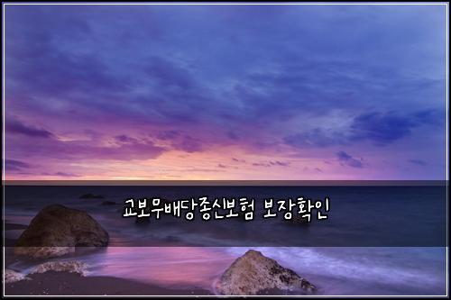교보무배당종신보험 보장확인 
