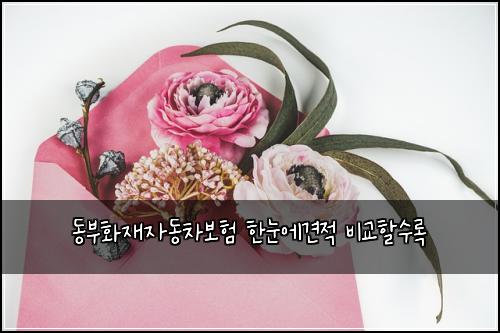 ๋๋ถํ์ฌ์๋์ฐจ๋ณดํ ํ๋์๊ฒฌ์ ๋น๊ตํ ์๋ก