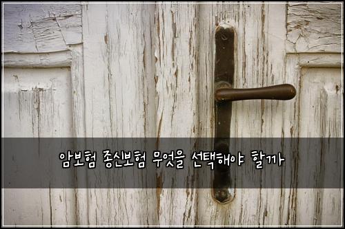 암보험 종신보험 무엇을 선택해야 할까