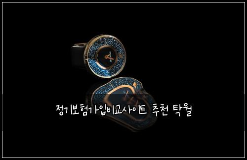 정기보험가입비교사이트 추천 탁월