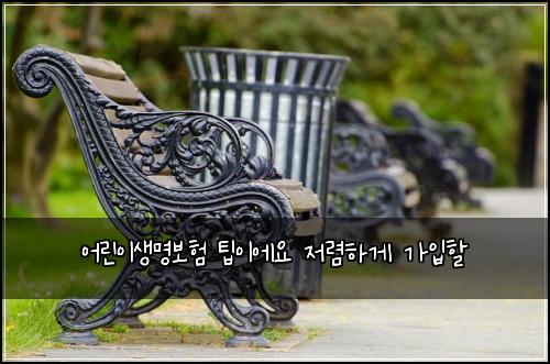 어린이생명보험 팁이에요  저렴하게 가입할
