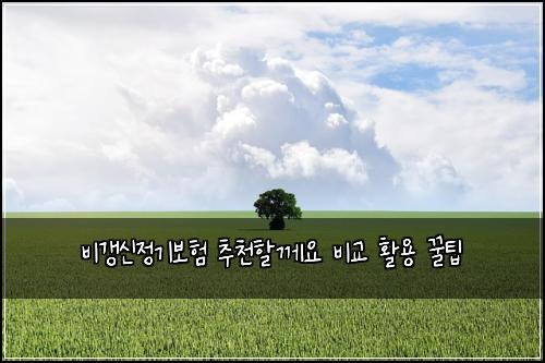 ๋น๊ฐฑ์ ์ ๊ธฐ๋ณดํ ์ถ์ฒํ ๊ป์ ๋น๊ต ํ์ฉ ๊ฟํ