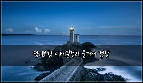정기보험 디테일정리  올커버 건강