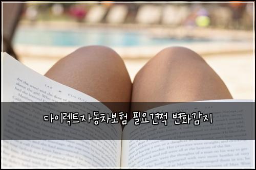 λ€μ΄λ νΈμλ차보ν νμ견μ λ³νκ°μ§