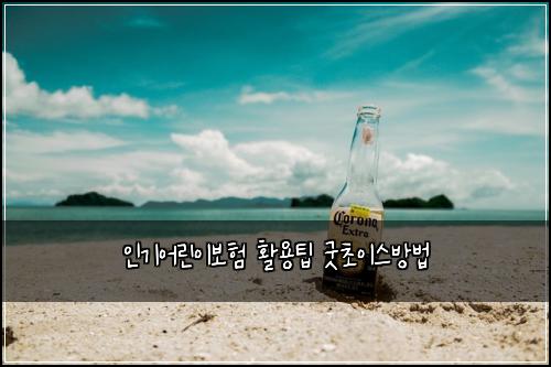 인기어린이보험 활용팁  굿초이스방법