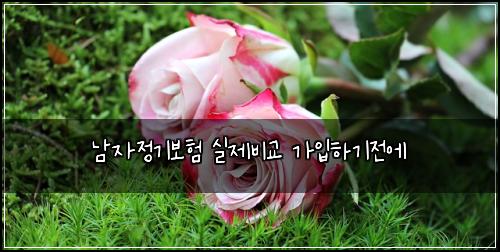 남자정기보험 실제비교  가입하기전에