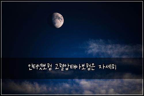 ์ธํฐ๋ท๋ณดํ ๊ณ ํ์ํ์๋ณดํ์ ์์ธํ