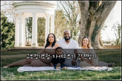 교보정기보험 자세히보기  간편찾기
