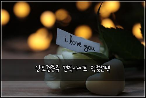 μ보νμ’
λ₯ 견μ μ¬μ΄νΈ μ μ μ ν
