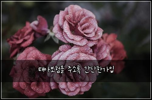 태아보험올 주소록 간단한가입