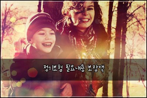 정기보험 필요내용  보장액