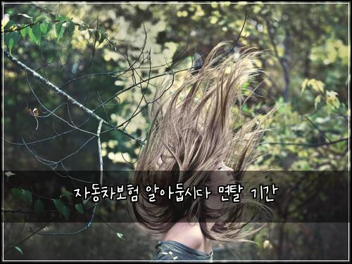 자동차보험 알아둡시다  면탈 기간