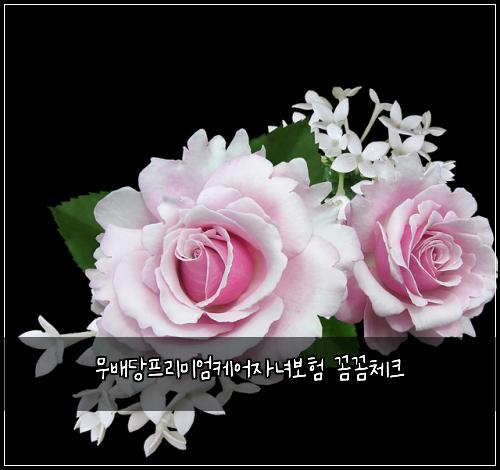 ๋ฌด๋ฐฐ๋นํ๋ฆฌ๋ฏธ์์ผ์ด์๋
๋ณดํ ๊ผผ๊ผผ์ฒดํฌ