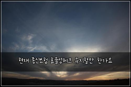 현재 종신보험 효율성체크  유지할만 한가요