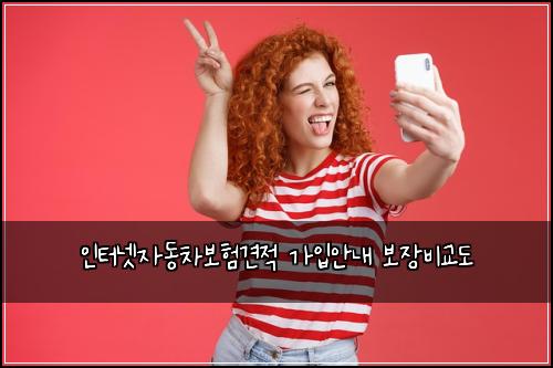 인터넷자동차보험견적 가입안내 보장비교도