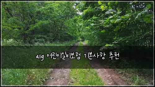 aig 어린이실비보험 기본사항  추천