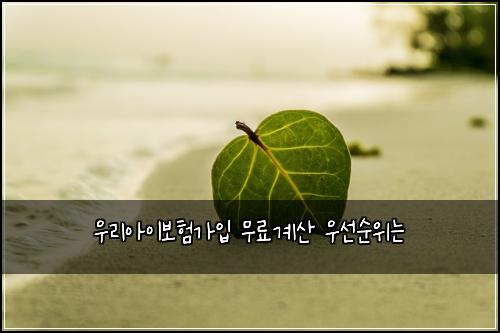 ์ฐ๋ฆฌ์์ด๋ณดํ๊ฐ์
๋ฌด๋ฃ๊ณ์ฐ ์ฐ์ ์์๋