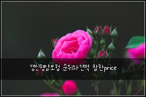 갱신형암보험 순위와견적  참한price