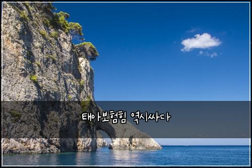 ํ์๋ณดํํ ์ญ์์ธ๋ค