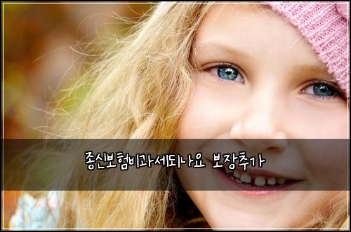์ข
์ ๋ณดํ๋น๊ณผ์ธ๋๋์ ๋ณด์ฅ์ถ๊ฐ